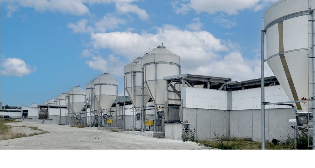 広大な敷地に広がる豚舎。常時17000頭以上の豚を育てています。